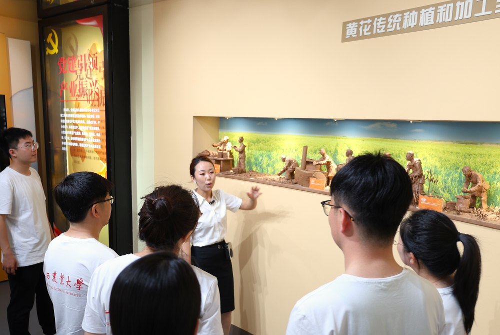 ƽʵĴɫ򣬾֮ܽѧԺͬʵ