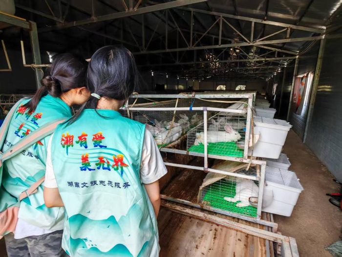 ഺӽ̽ҵ ˶ϣ ״ѧϵũʵֳ̽