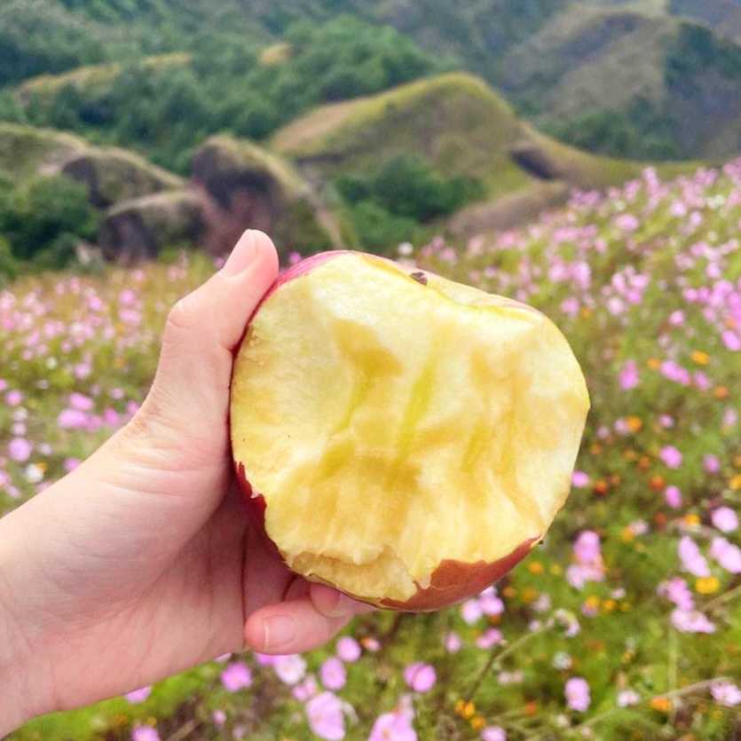 大凉山丑苹果：天然风味与滋养健康的完美结合