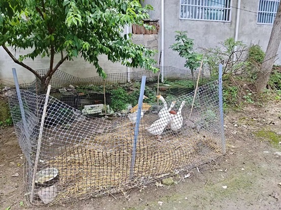 ѧ磺֮裬֮
