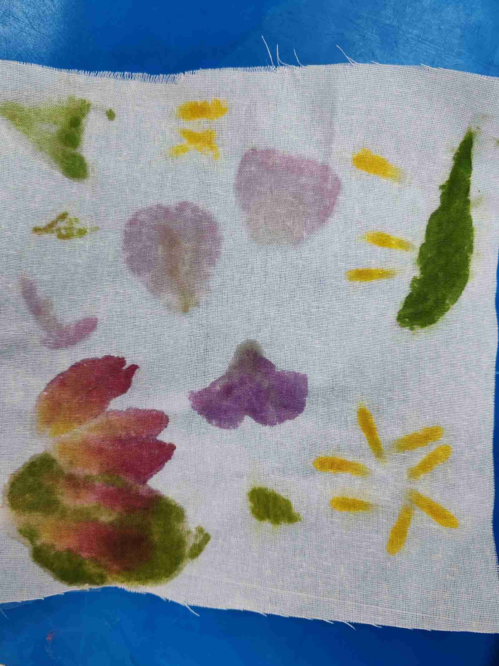 ѧʵſ֧ж ۽صγ̰飬ֿѧ֪ʶ֮