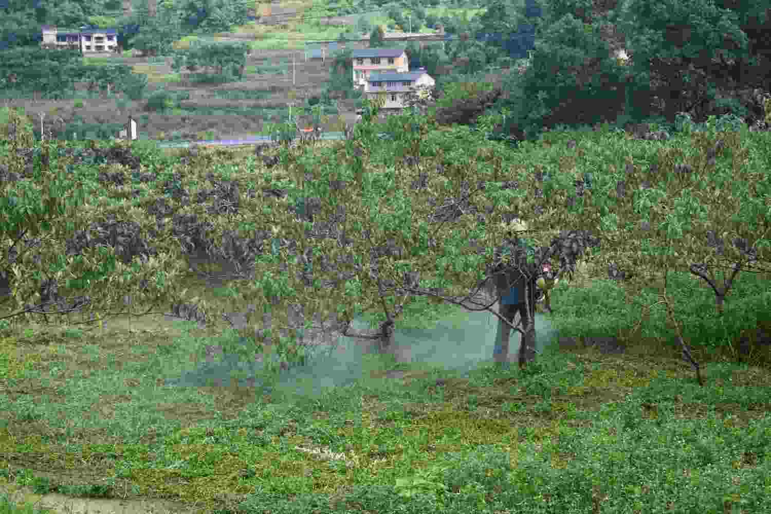 ഺũʵ߲˻