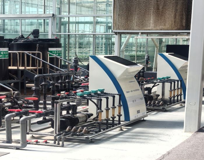 ɽѧ磺ǻ۲԰˼׼ֲ¹