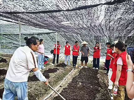 ǭҽѧߵרѧУҽѧ֪ʶҰػů