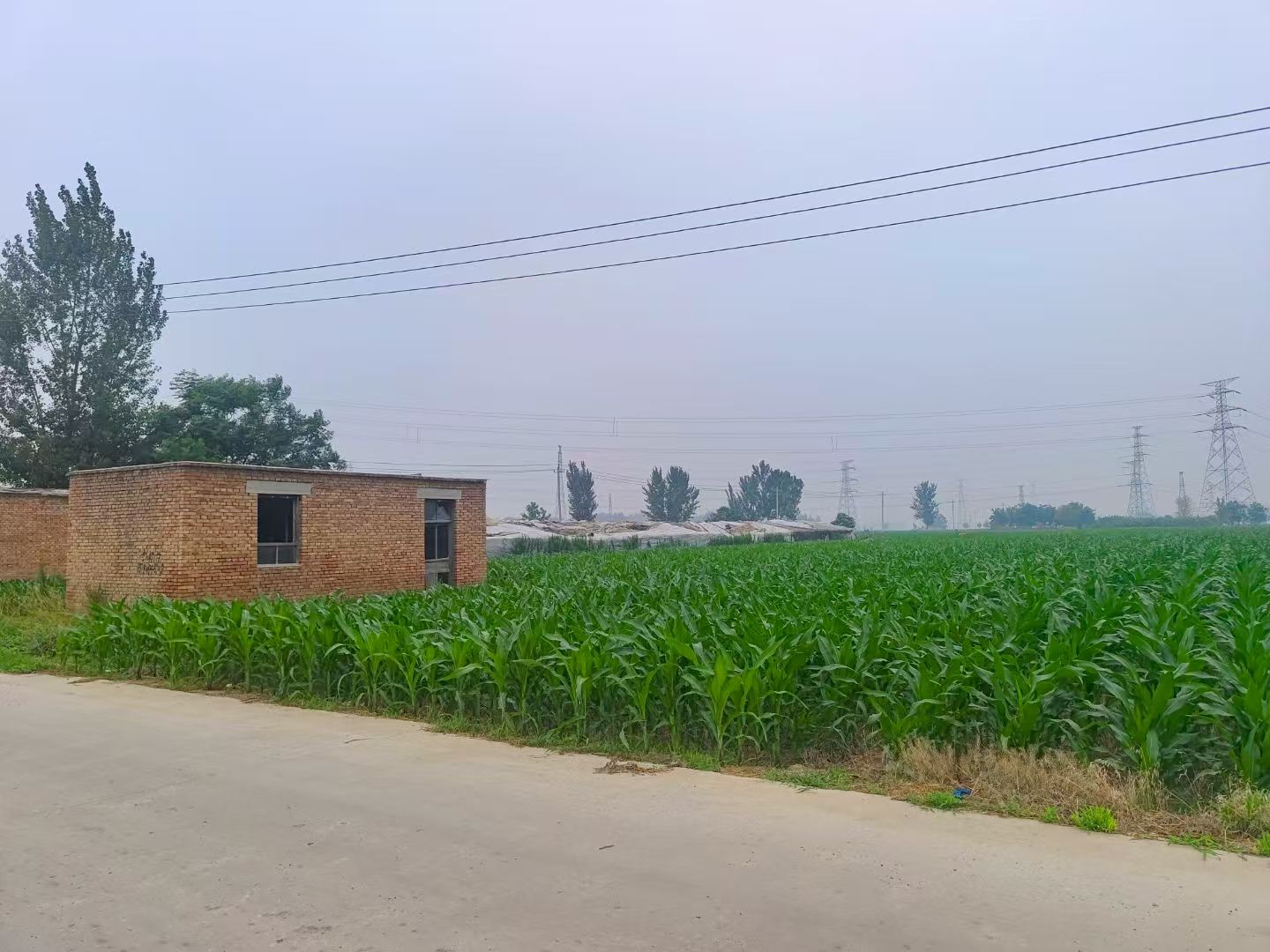 ɽѧɿƼʵʢʹ忪չѲ