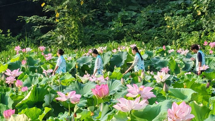 뻭 ഺͷ¼״ѧϵũʵɻ԰㸳÷չ