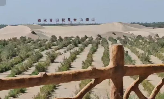 ഺɳ̣֯ѧ뼼ѧԺʵ̽ᡰ̬Эͬչ֮· оɳ̡̬֯ı ̬ʵ