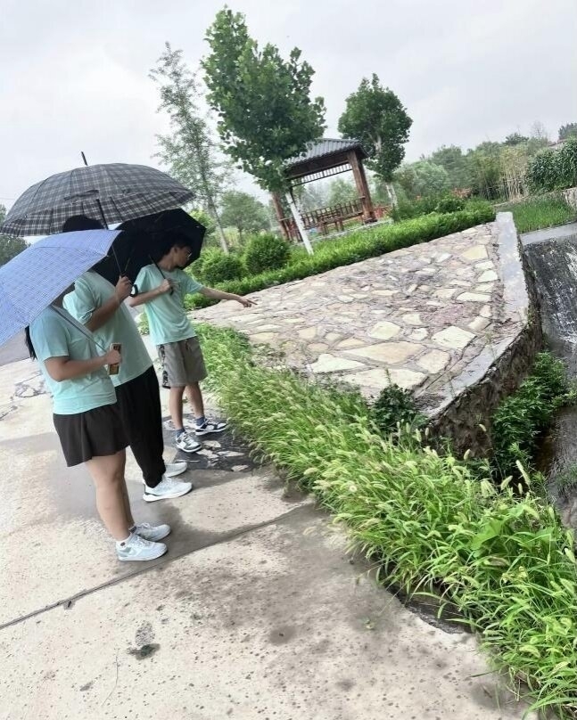 ɽѧʵţˮ