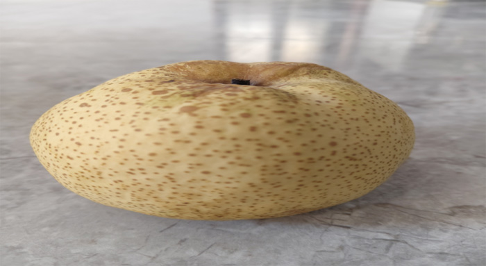 ѧӷ磺ഺɽƮ滨㳡