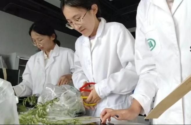 ʻѧԺ硱ʵһػˮѰػ̹źӵ