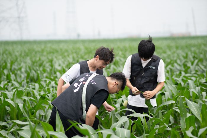 ƼֽʵŶӿչũֲͻʩ˻ͼɼ