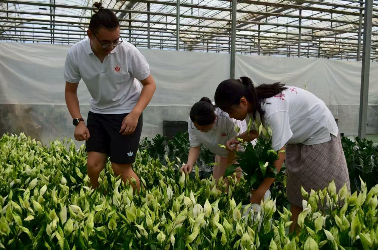 һέ溽־Ըţֱۻഺ