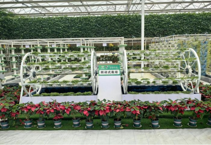 ɽѧ磺̽üͶ԰߲˲ҵ