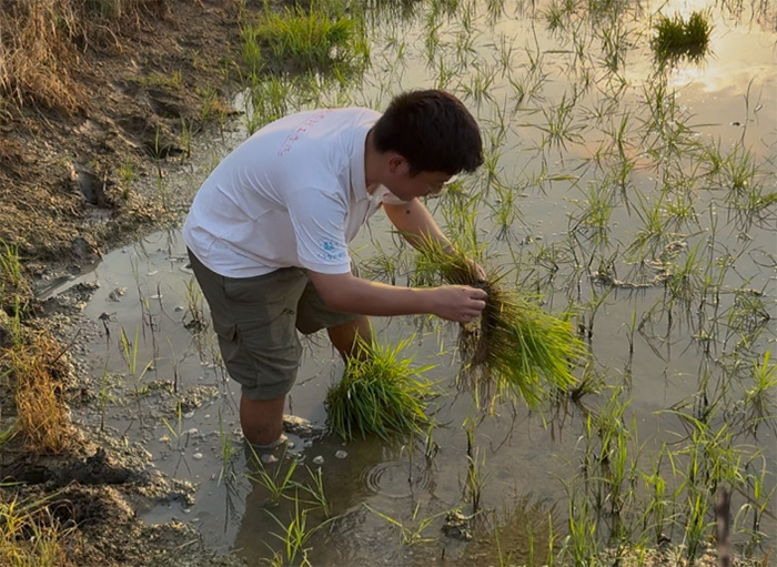 ְ֪ũ¼ ̤ȱ־|ѧԺԪƻǻ־Ըӵͨˮֲרҵ