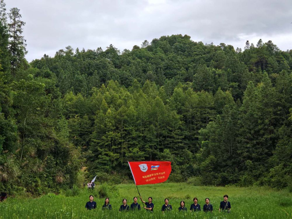 ഺҽ򵳡ʵţԴ   ʵ