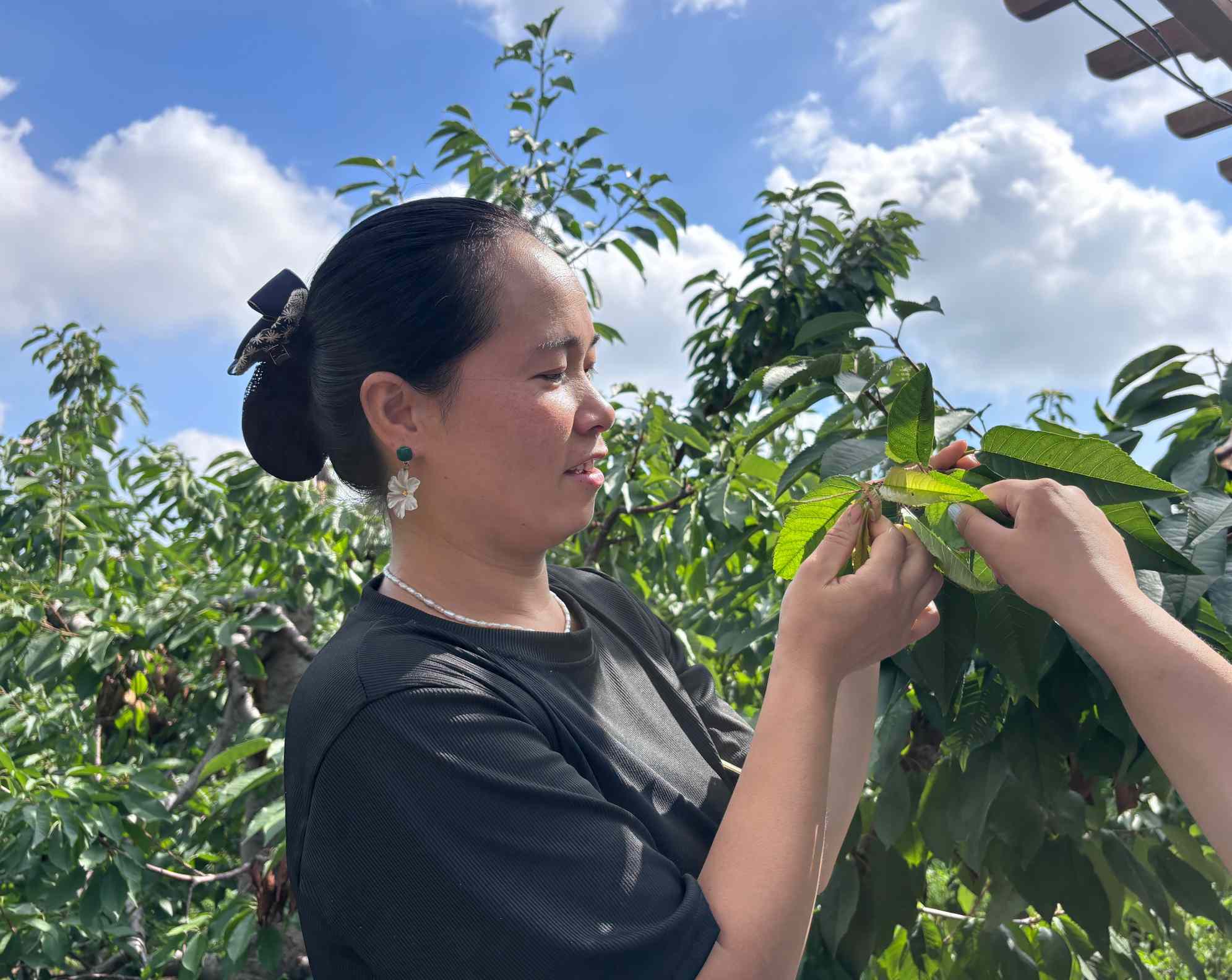 ũֿƼѧأ԰ΪʣͷȻ˻һ