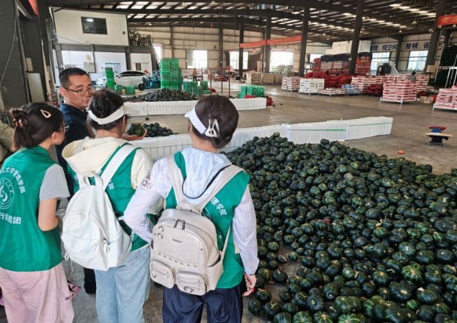 ɽѧٹУ̽Ѱũŷչ·