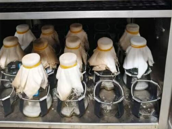 Ƽˣʦѧѧʵ̽ľǴɫϳ·