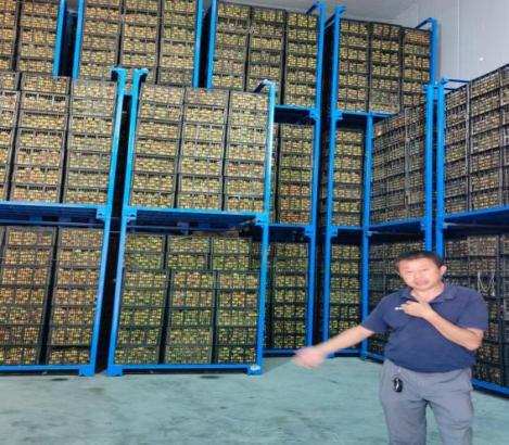 (ɽѧ)ʦԺŶʵĻֱΪ渳