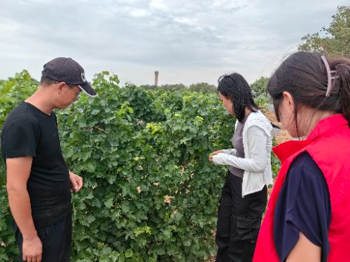 ̬죬Ʒ͡ѧ߽γ44ȻƽĴׯ