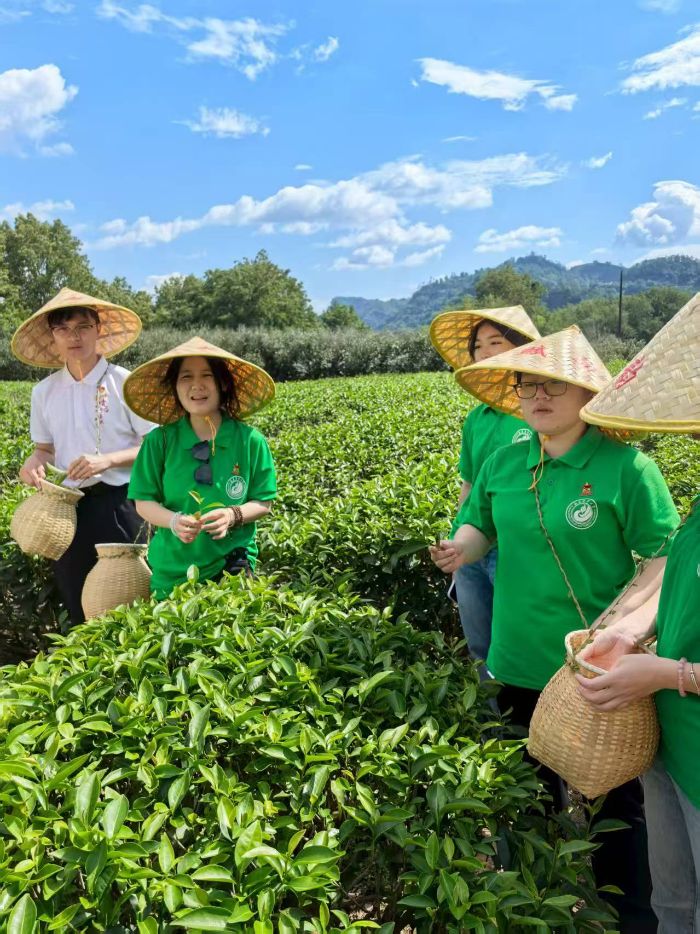 ũִѧ̡ǸѵʵӸɽ̽Դͳ˼룬ǿũũʹ