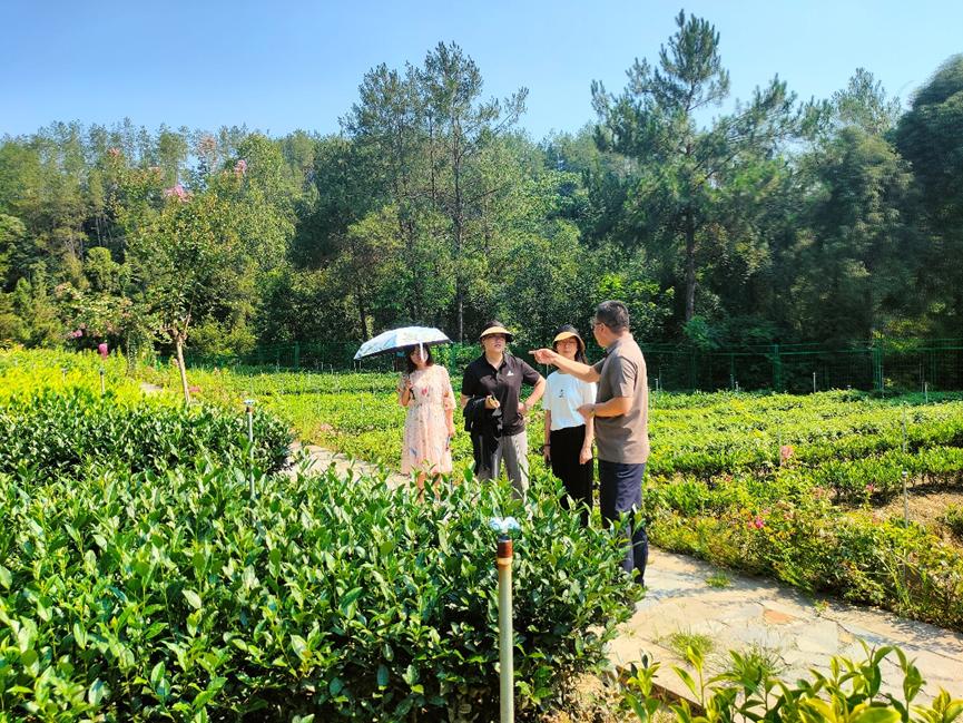 ѧʳƷ﹤ѧԺʦʵ ǻͼ