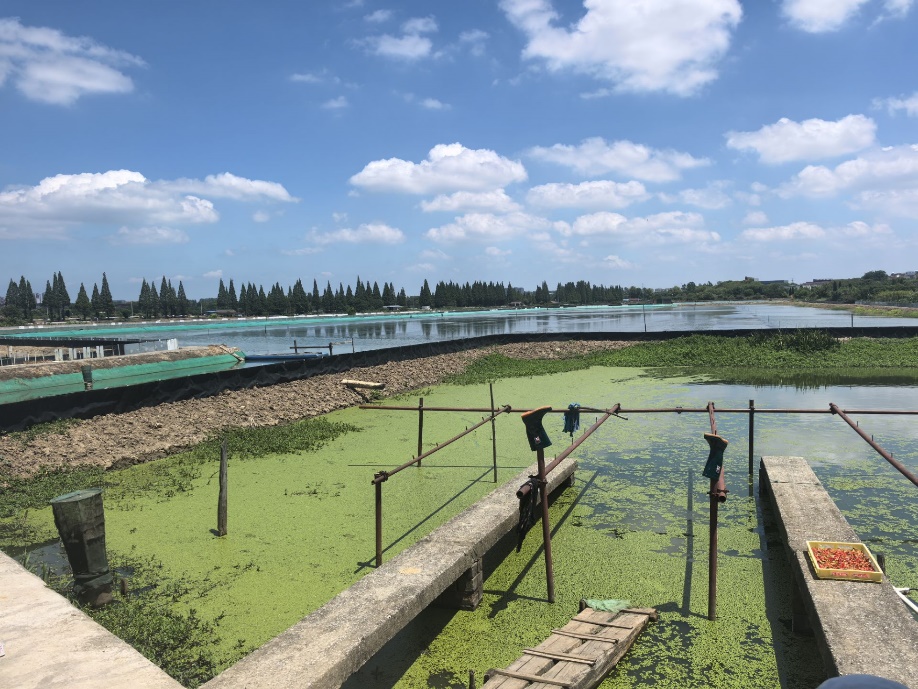 ѧԺзˮ-Ͼߴͷ̽áзҵֳֻ