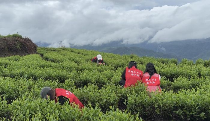 һƬҶӸһһ·ǭŶʵ¼