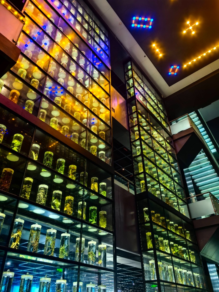 ɽѧʵ | ҽҩݵУھĻ