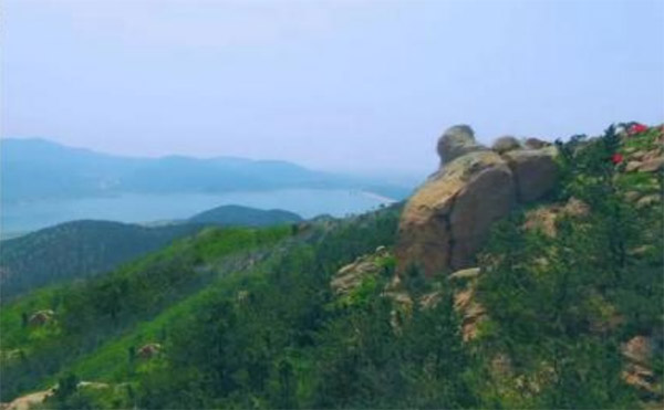 ���壺���ϻ�����˾����Ŵ������³��