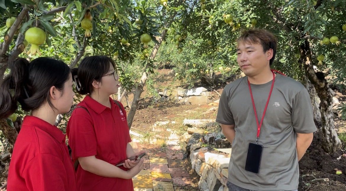 ѧԺʯˡʵϺʯҵ&#8203;