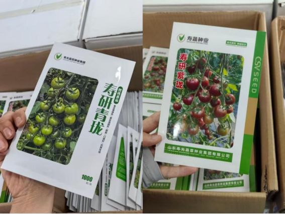 һֵǧ𡪡ٹ⡰߲оƬս