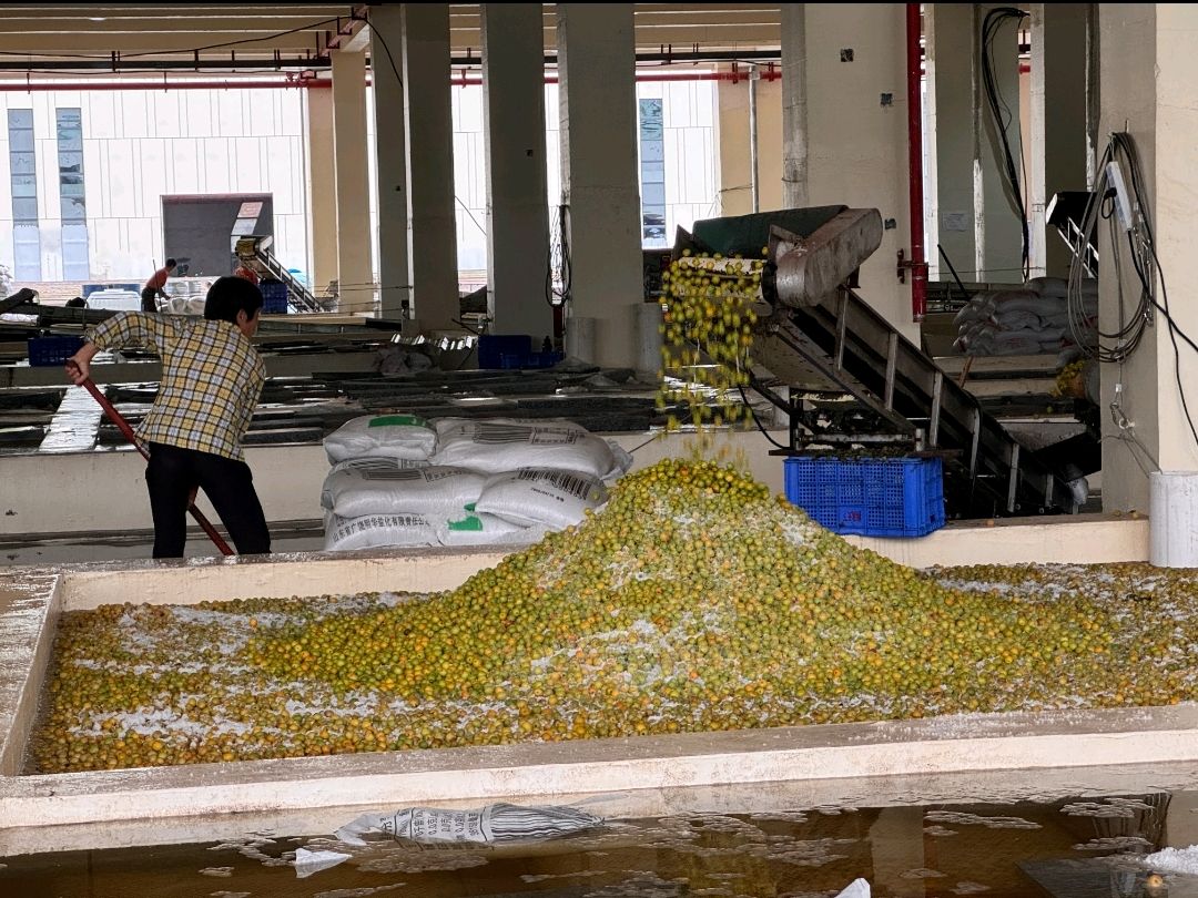 ÷ܲҵˡʦѧ̩÷һ߿չ硱ʵ