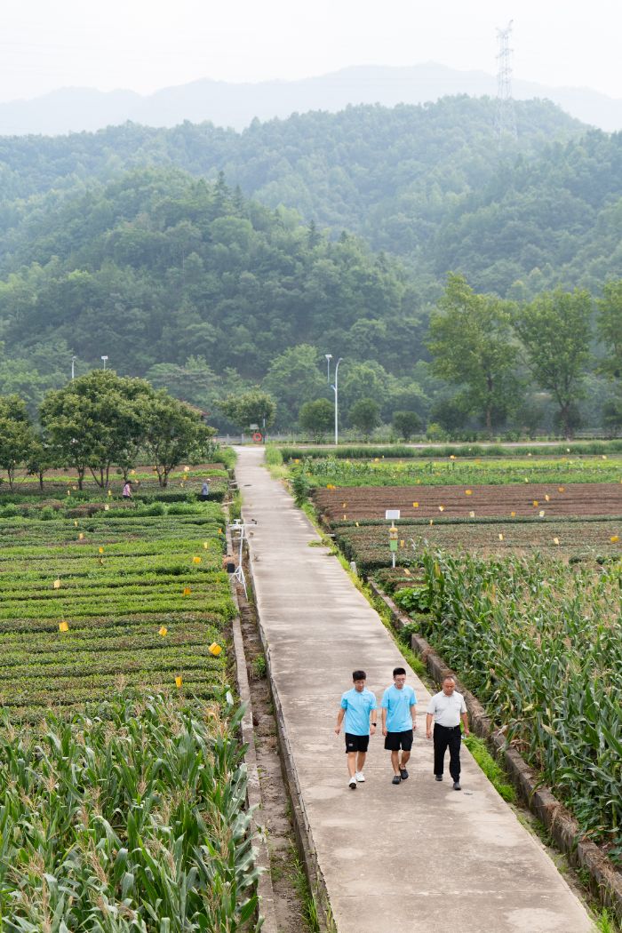 ˸ | Ӻѧ׷⡱֧ŻƼ