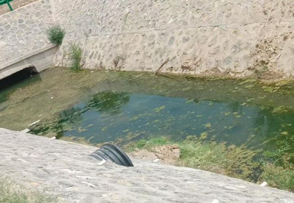 ̽ˮϵ磬ά̬԰ƼѧѧԺʵŶӵĵ֮