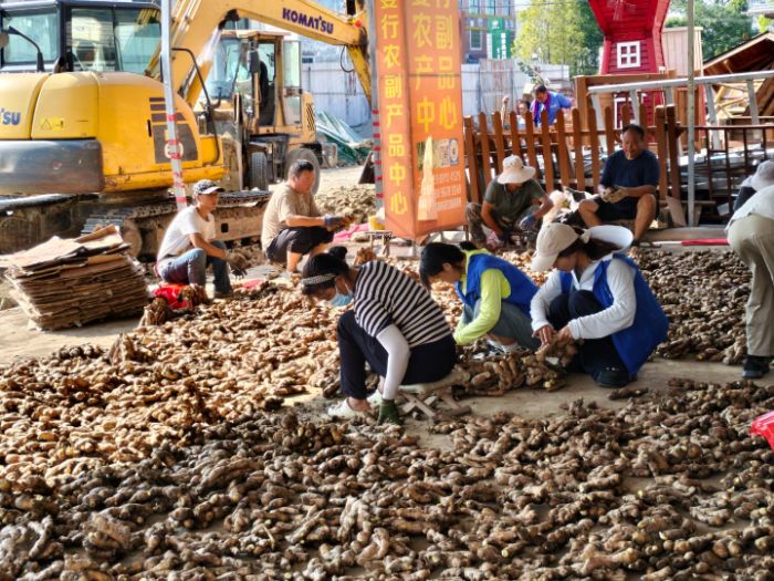 Ѱ緢չҽѧԺѧ̽·¶