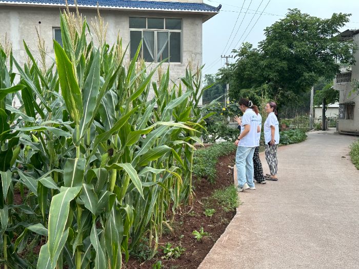 ϴѧѧӸ˱չ֪켣ġʵ