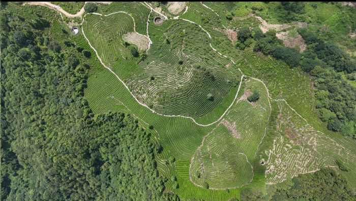 硤·حɽԽ̽ذ׺״壬֤κ㡷