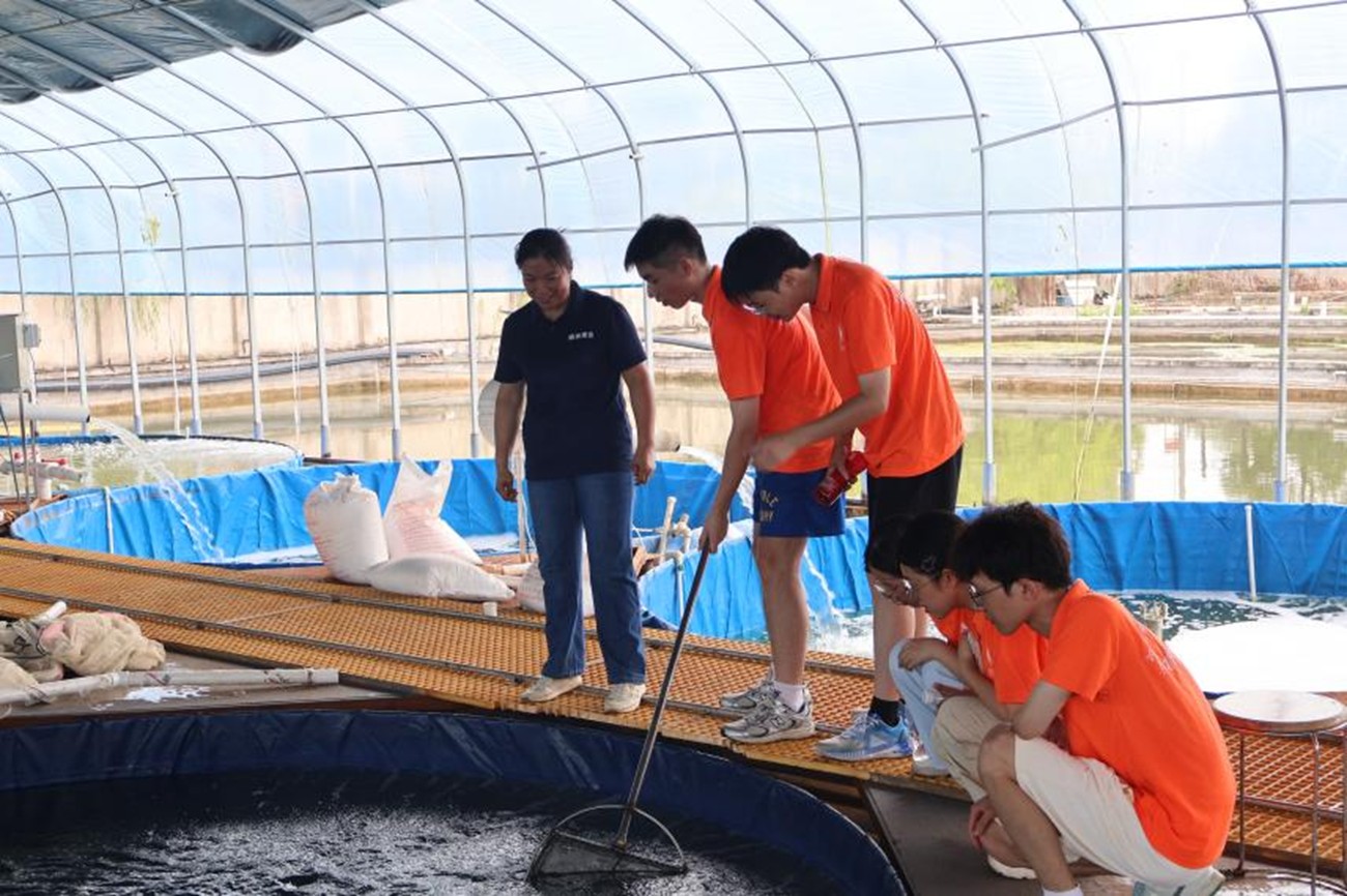  ֻǶݣȪ̽ӽرȪ̶ ̥ǡ ֮·