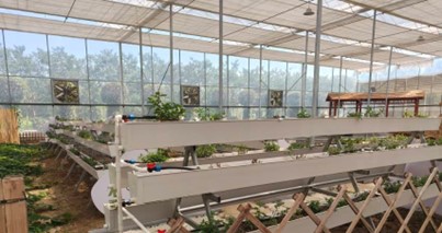 ϲѧʵഺʵ̽ũ·Ƽܻͼ