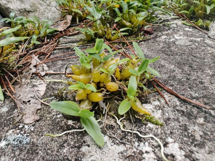 ϾƾѧũŶ̽þȣл屦ԭ̬Դػ