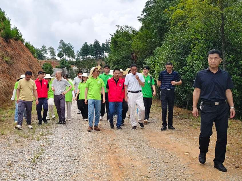 ͼ4  ʵЭϯ¶һ̽ɽо  