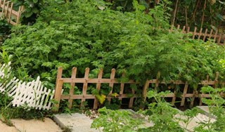 ϲѧӣǸҰ・İũŶϾкˮũ