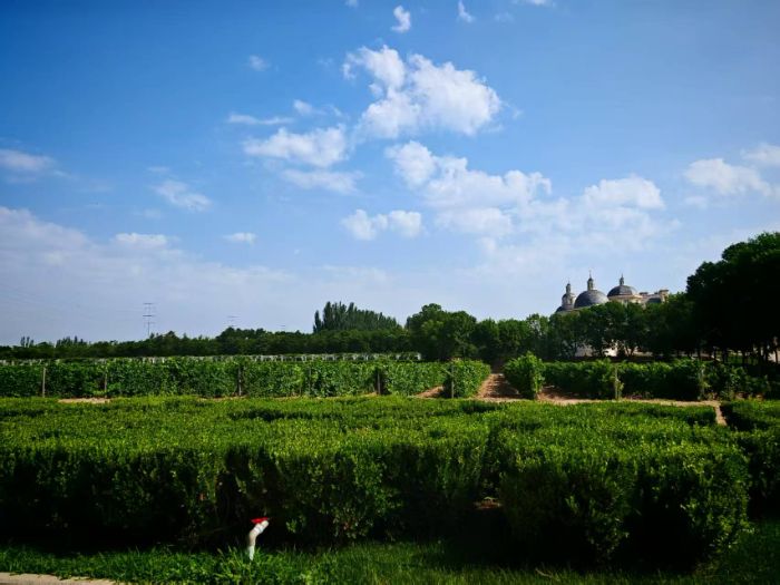 Ѱζ֯ϸ;ʵȵѾƲҵչ