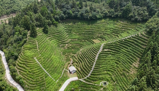 ߽ɽвϡϹ̴ѧӽ԰ι۵