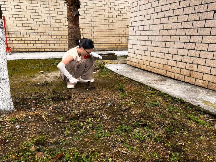 ഺģʯ󾭹Ժ ഺ֡㡱 Ŷ¶ʵ