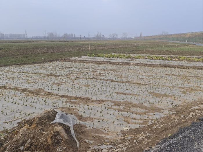 ������лƺ�����ũ����״��������ؼ�Լ��������ͼ