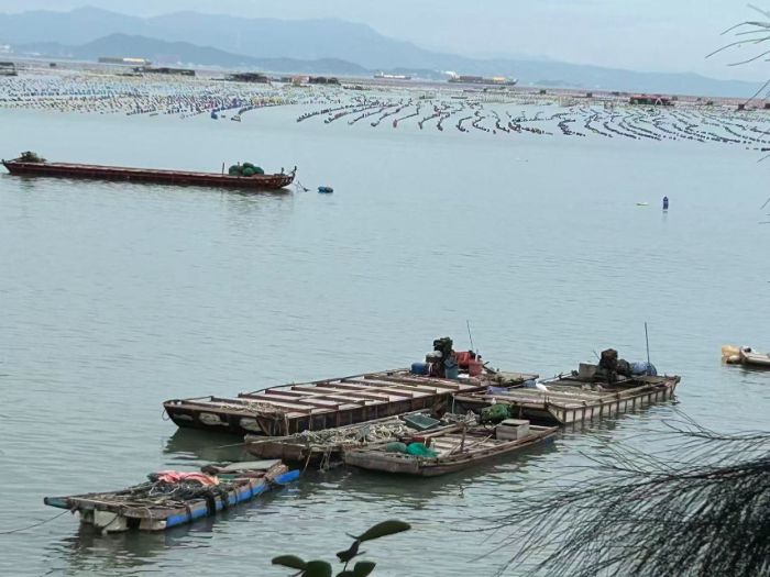 �ഺ��ɽ�� ʵ�������ˡ�����������ʵ���Ӹ��ൺ�м�ī�������չʵ������