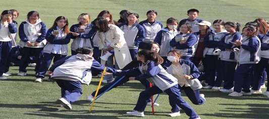 ˼ߣഺū--ɽѧԺƵԤܽɳ