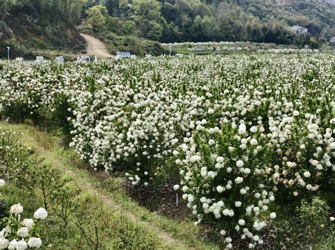 �������������� �ഺ��������塪����������ѧ��������ƽ̨������ũ�����ں��¶���